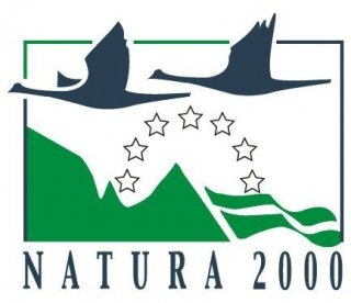 invasepnatura