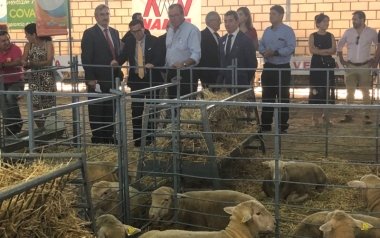 salón ovino 2018