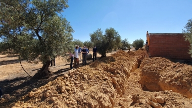 obras en pela
