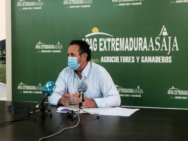 juan metidieri