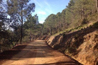 caminos