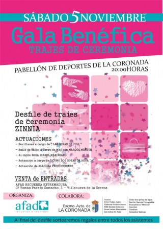 gala solidaria