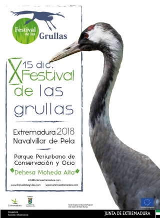 grullas festival