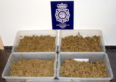mariahuana mérida