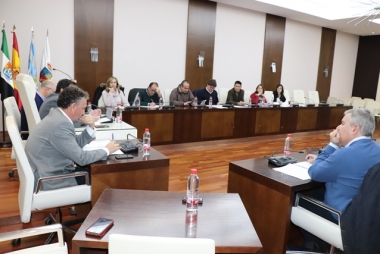 pleno mancomunidad Don Benito-Villanueva