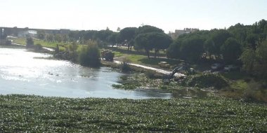 Retirada del camalote en noviembre