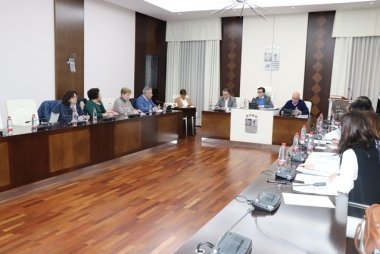 pleno mancomunidad Don Benito-Villanueva