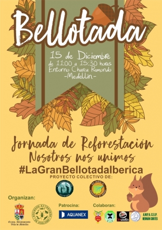 bellotada medellín