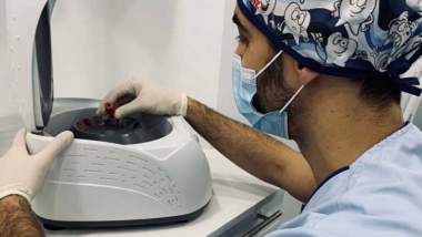 regeneracion dental