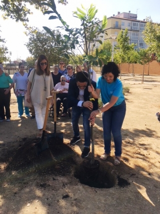 arbol de la memoria en Villanueva