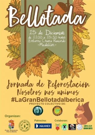 bellotada medellín