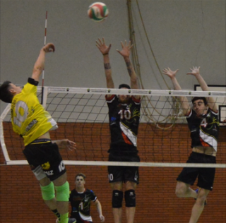 voleibol