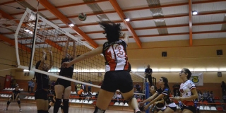 Voley femenino