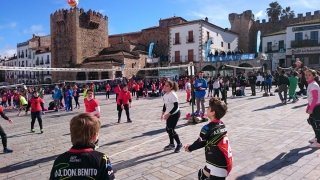 ad minivoley