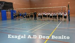 volei INFANTIL