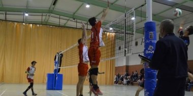 voleibol masculino