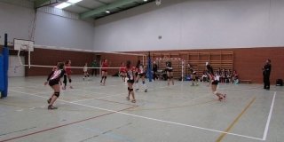 voley femenino