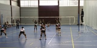 voley femenino