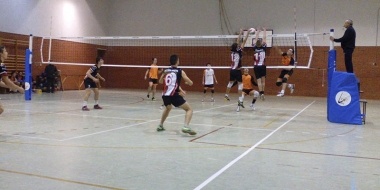 voley masculino