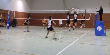 voley masculino