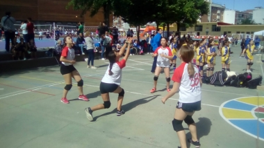 voleibol