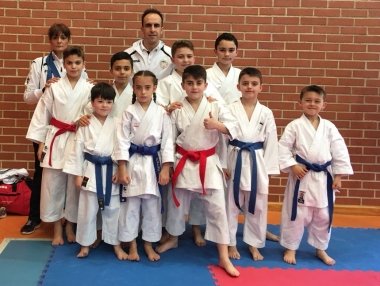 karate shotokan