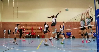 voleibol