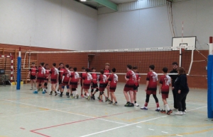 voleibol don benito