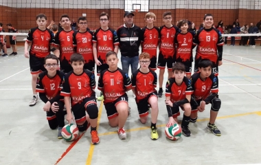 volei3feb2