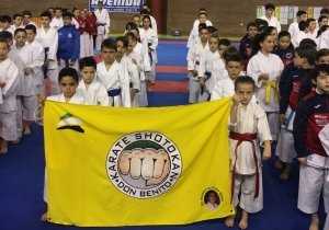 shotokan
