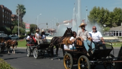 caballos en Don Benito