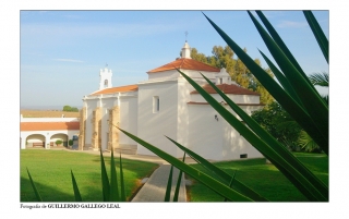 postal de Guillermo Gallego