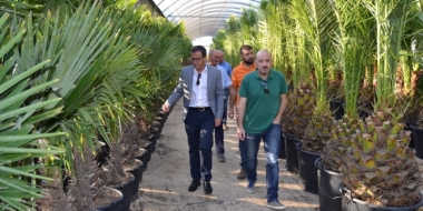 vivero diputacion de Badajoz