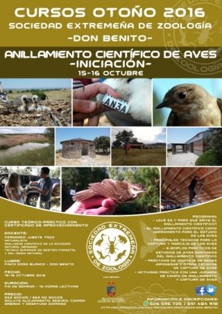 anillamiento
