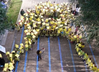 aoex alumnos