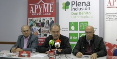 apyme y plena inclusión