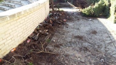 basura que había bajo los setos del ave maria