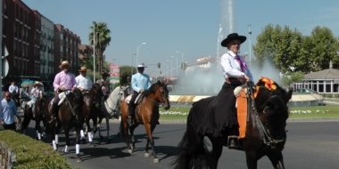 caballos en Don Benito