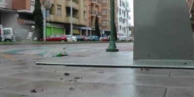 Perros