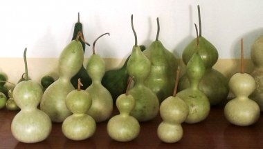 calabazas presentadas