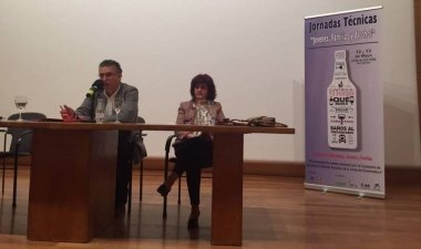 jornadas alcohol