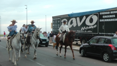 caballos en Don Benito