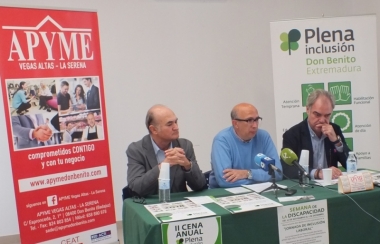 plena inclusión y apyme