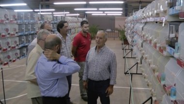 exposición ornitológica de Don Benito