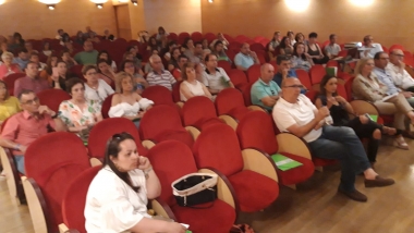 asamblea plena inclusión