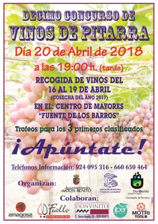 concurso de pitarras