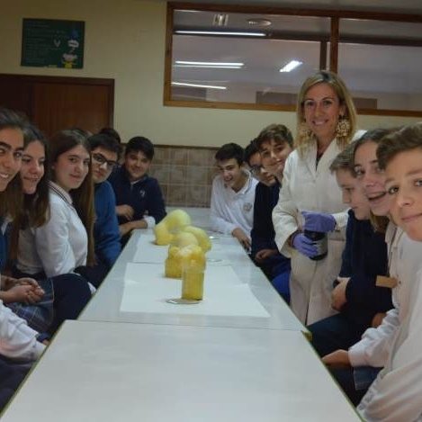 Semana de la Ciencia en el Sagrado Corazón
