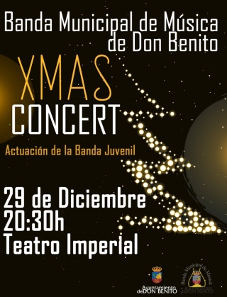 concierto de navidad