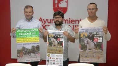 presentacion open doma