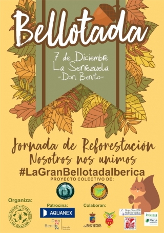 bellotada